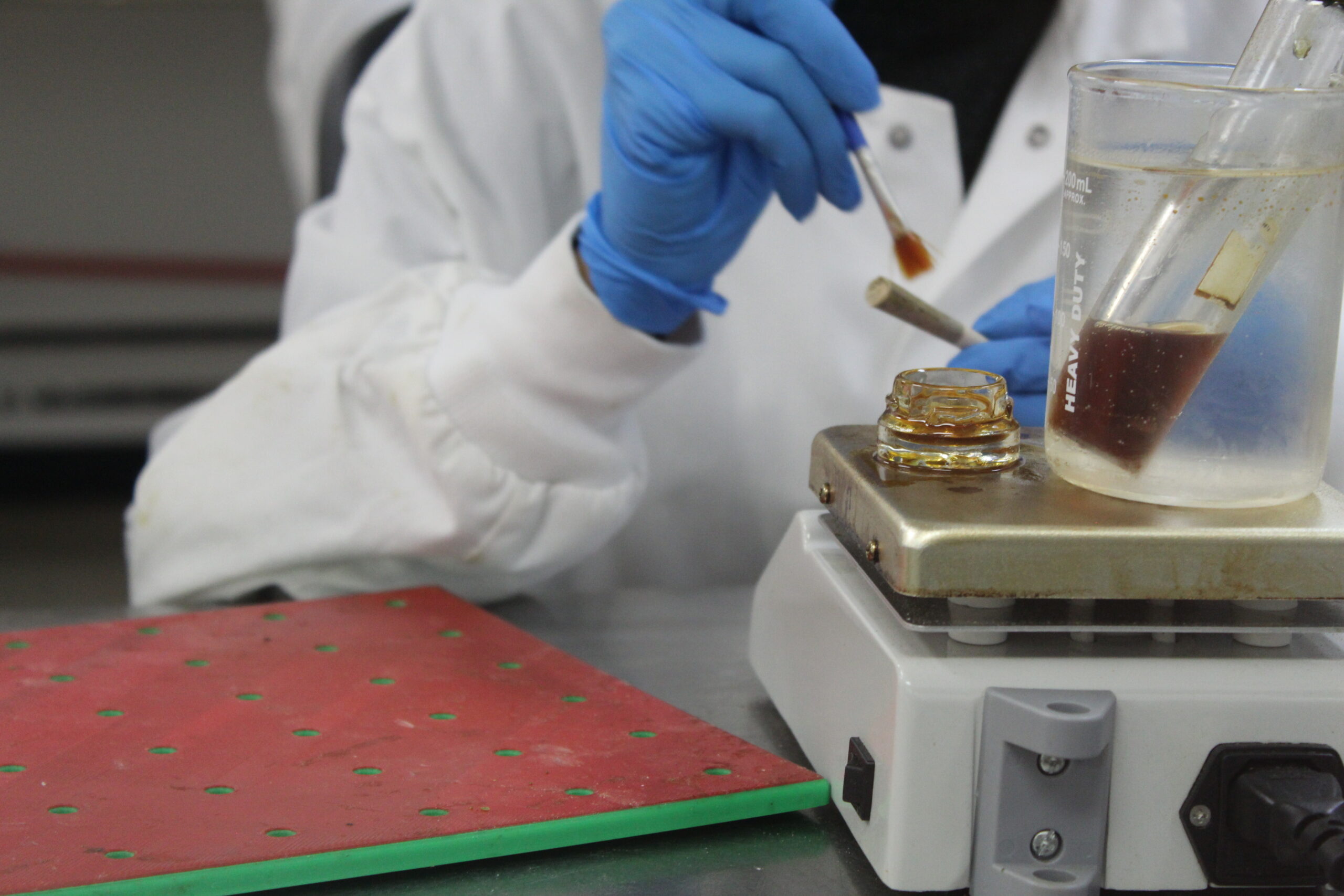 A gloved hand applying liquid infusion material to flower