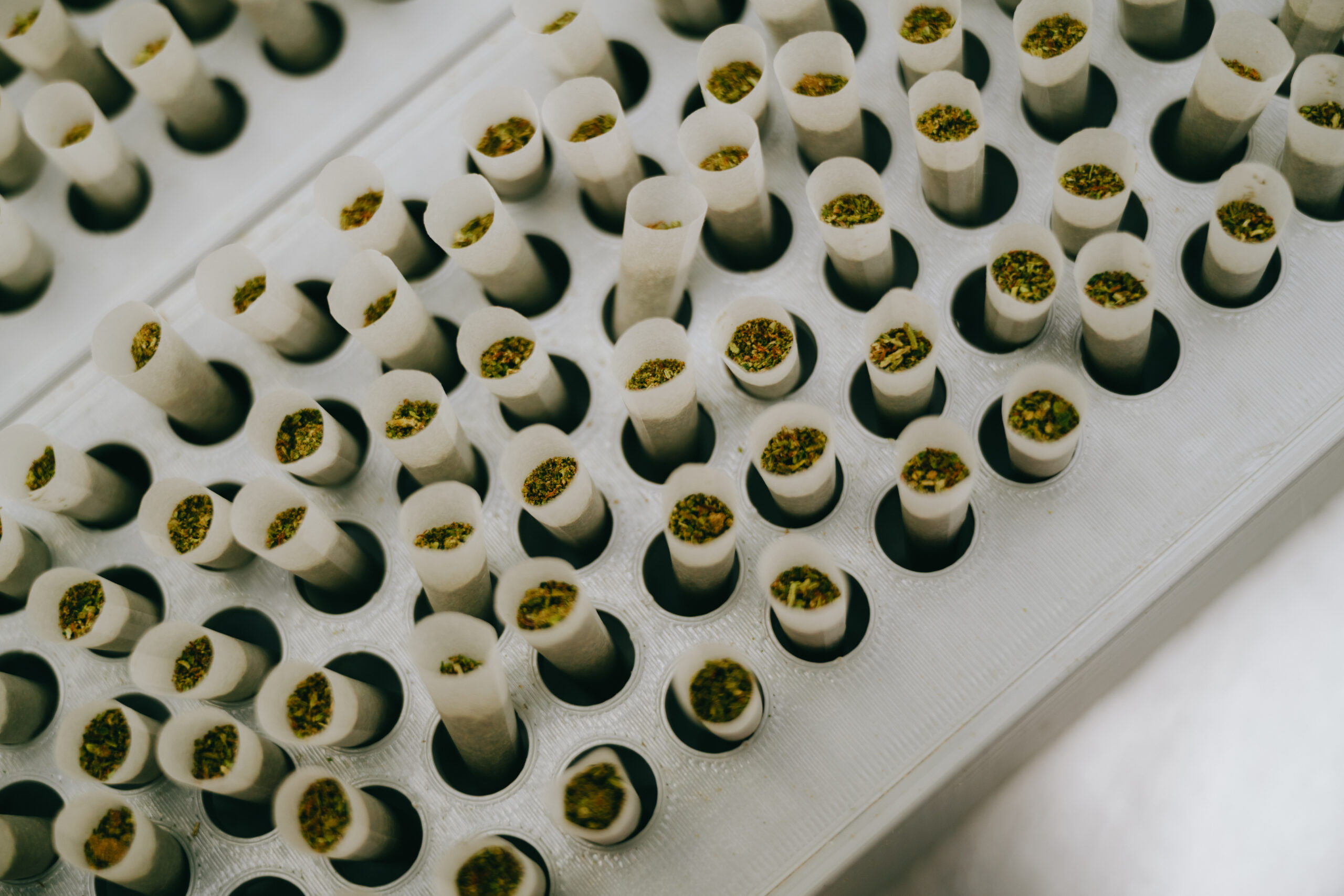 A full rack of non-infused pre-rolls at Gotham Manufacturing