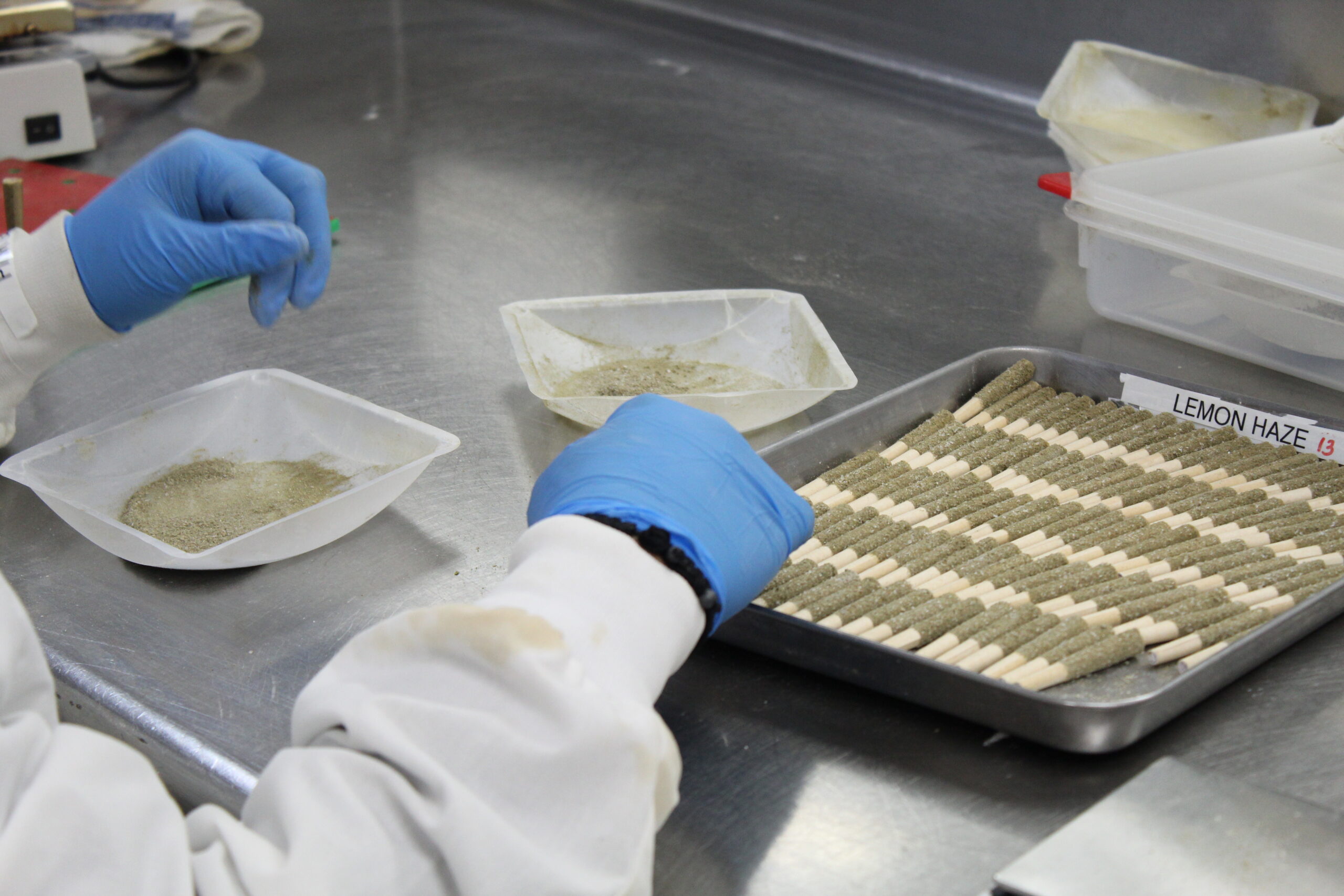 A gloved hand next to a tray of coated pre-rolls and dishes of coating material